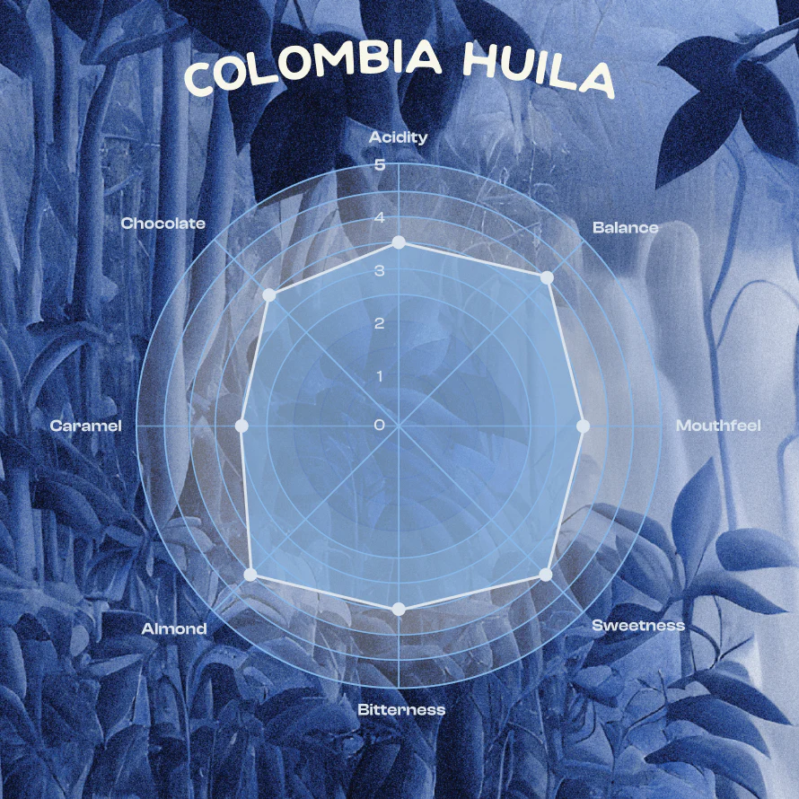 Single Origin Whole Beans - Colombia Huila - 250g - Image 4